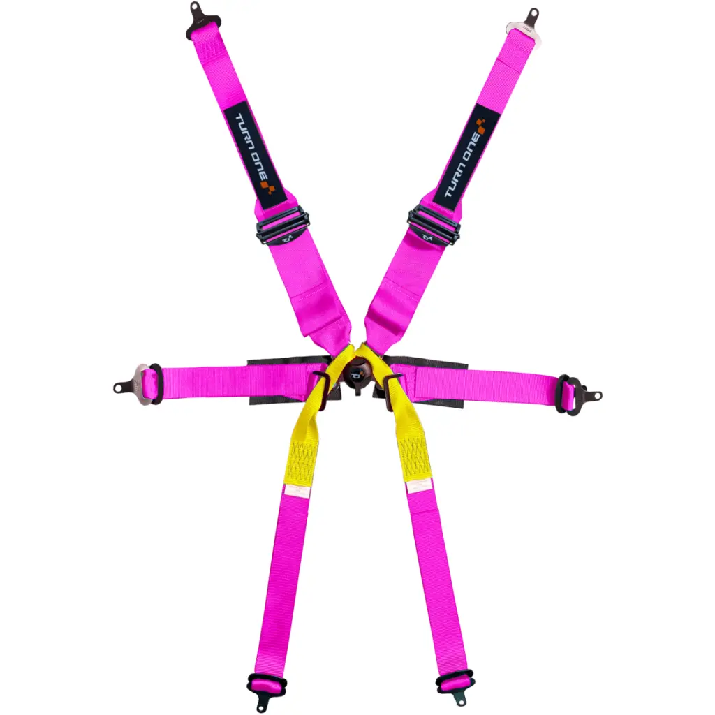 Formula Evo 6-point Harness FIA 8853-2016 Pink