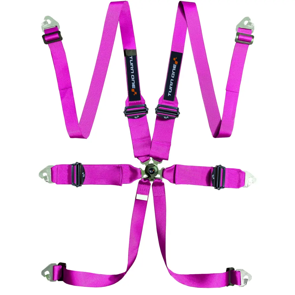 Race 6-point Harness FIA 8853-2016 Pink