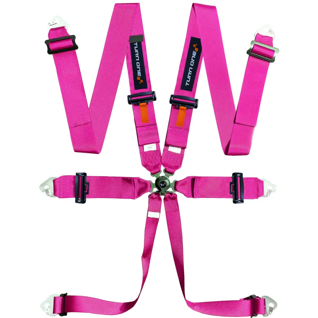Speed 6-point Harness FIA 8853-2016 Pink