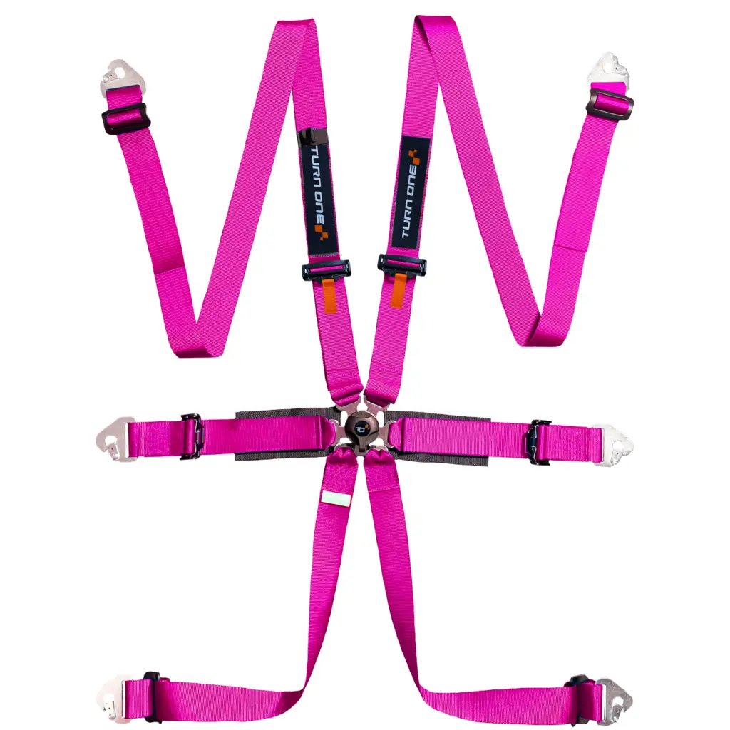 Star Light 6-point Harness FIA 8853-2016 Pink